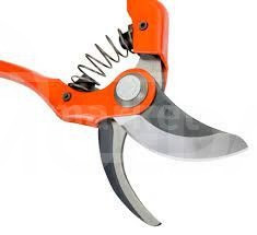 секатор бахко Тбилиси - изображение 1