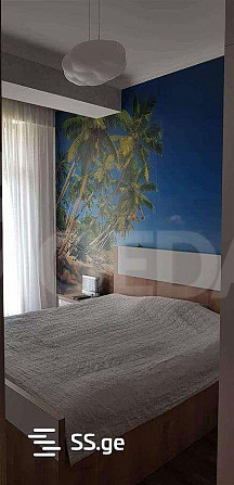 Сдам 4-комн. квартиру в Тбилиси  80м² 4/4 эт. Тбилиси - изображение 6