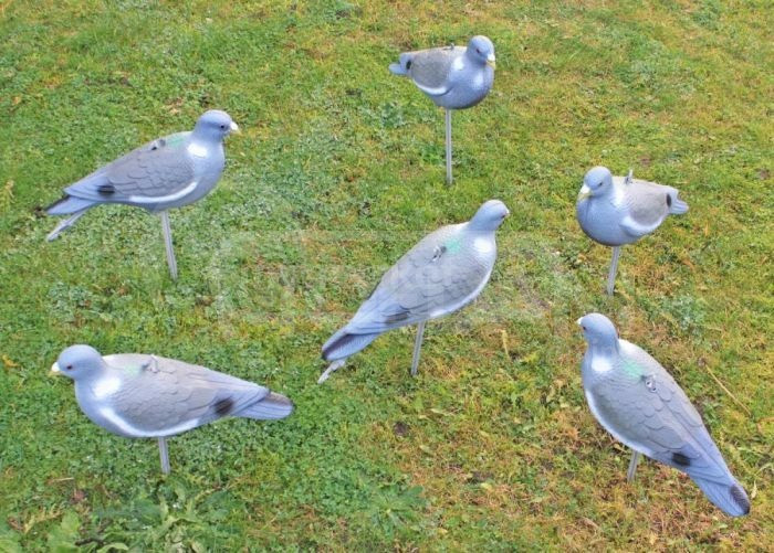 Кедани Кедни чучело Тбилиси - изображение 2