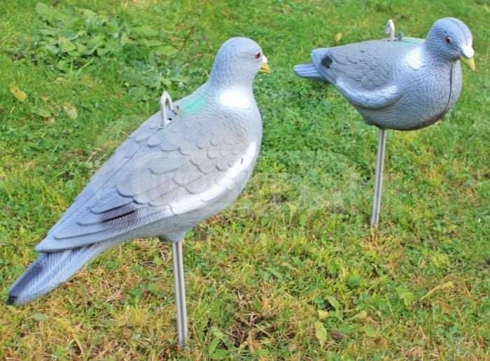 Кедани Кедни чучело Тбилиси - изображение 1