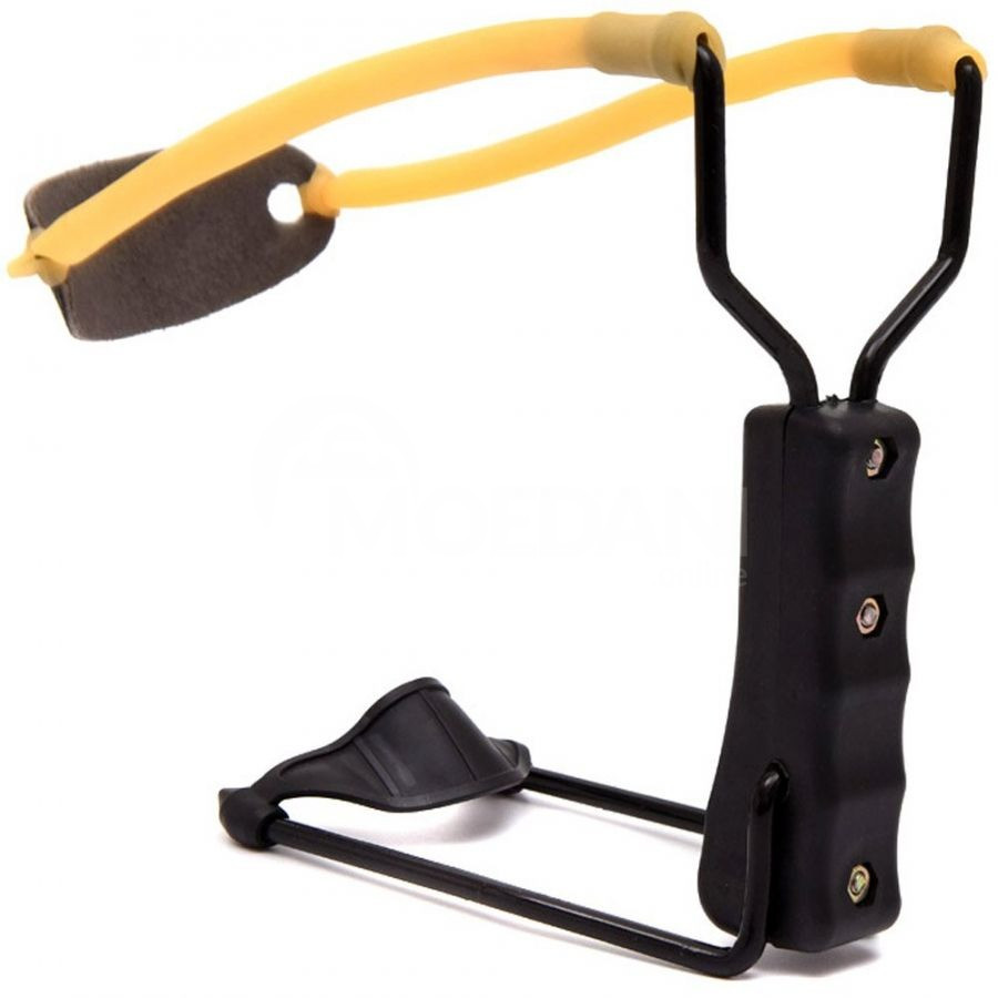 желудок Тбилиси - изображение 1