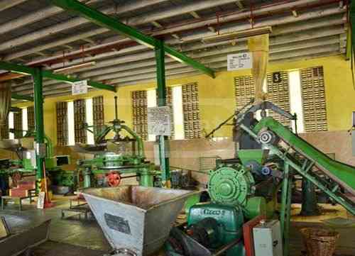 Tea production equipment Tbilisi