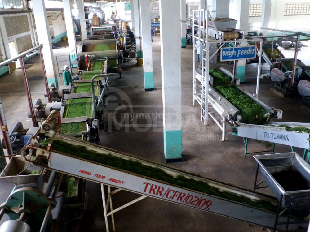 Tea production equipment Tbilisi - photo 3