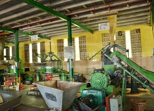 Tea production equipment Tbilisi - photo 1