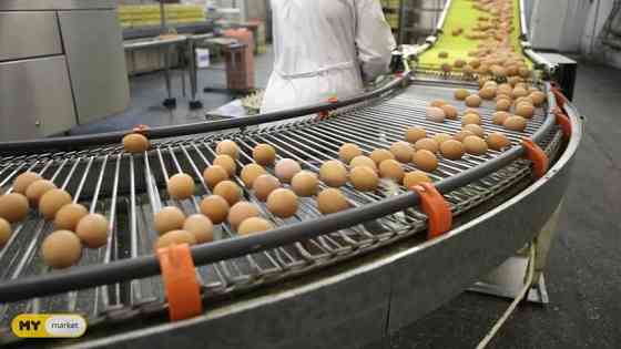 Production plant for chicken products Tbilisi