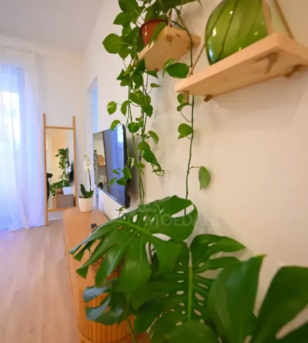 Продам 2-комн. квартиру 40м² 1/4 эт. Тбилиси - изображение 7