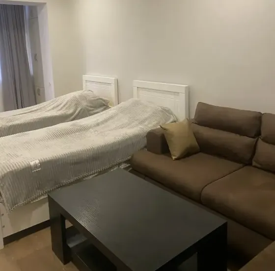 Apartments For Rent one-room 47м² 2/8 floor Tbilisi