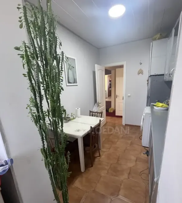 Сдам 2-комн. квартиру 56м² 5/9 эт. Тбилиси - изображение 1