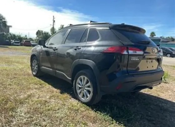 Toyota Corolla 2L 2023 თბილისი