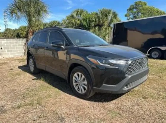 Toyota Corolla 2L 2023 თბილისი