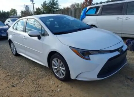 Toyota Corolla 2L 2024 თბილისი