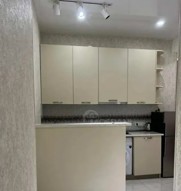 Сдам 2-комн. квартиру 44м² 11/12 эт. Тбилиси - изображение 13