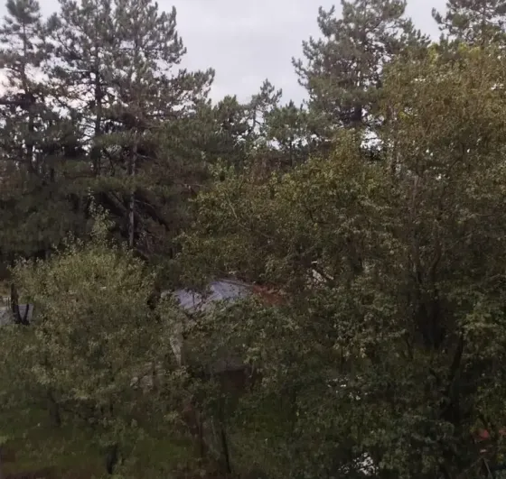 ქირავდება 2 ოთახიანი ბინა 74მ² 2/2 სართ თბილისი