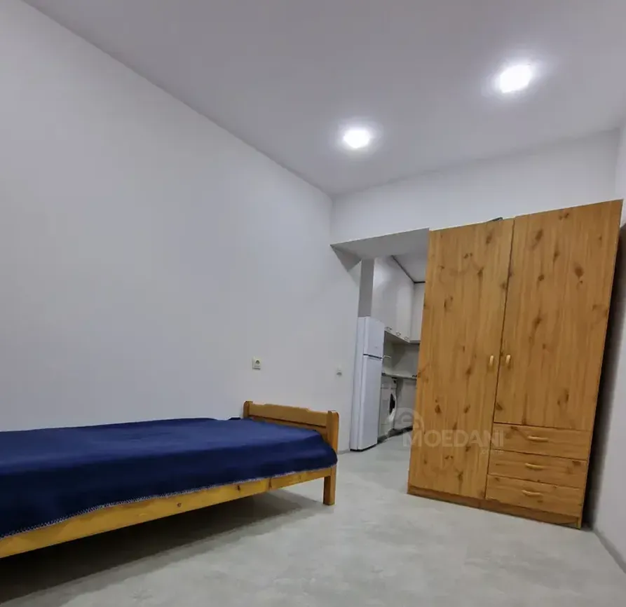 ქირავდება 2 ოთახიანი ბინა 22მ² 1/2 სართ თბილისი - photo 8