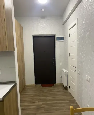 Apartments For Rent one-room 32м² 8/16 floor Tbilisi