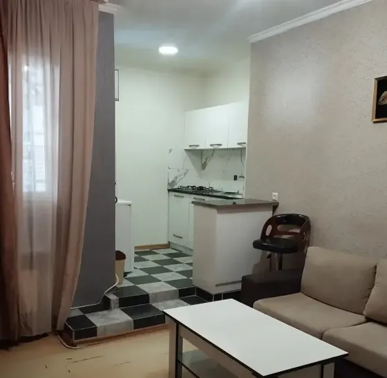 Apartments For Rent two-room 31м² 1/2 floor Tbilisi