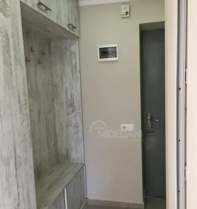 Apartments For Rent one-room 300м² 4/5 floor Tbilisi - photo 7