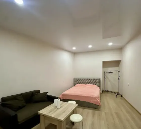 Apartments For Rent one-room 30м² 1/2 floor Tbilisi