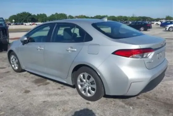 Toyota Corolla 2L 2025 თბილისი