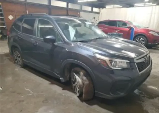 Subaru Forester 2019 Тбилиси