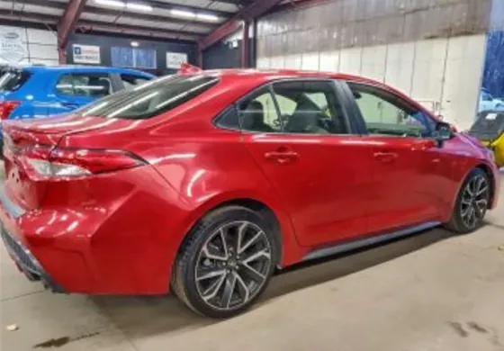 Toyota Corolla 2L 2020 Тбилиси
