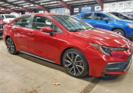 Toyota Corolla 2L 2020 Тбилиси