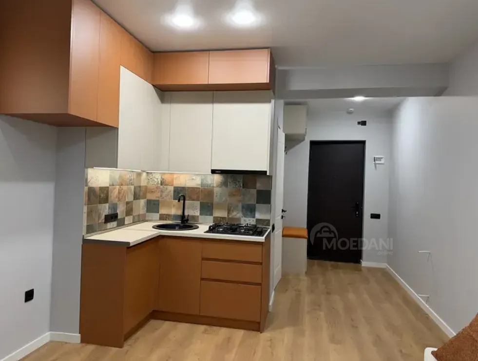 Apartments For Sale two-room 40м² 13/16 floor Tbilisi - photo 12