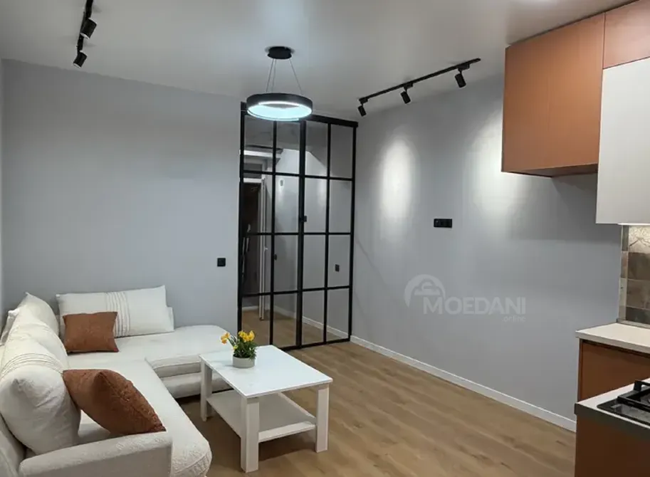 Apartments For Sale two-room 40м² 13/16 floor Tbilisi - photo 16