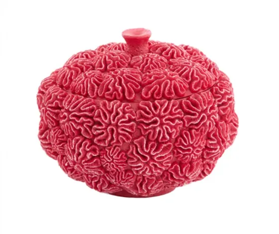 Розовый пластиковый сундук Тбилиси