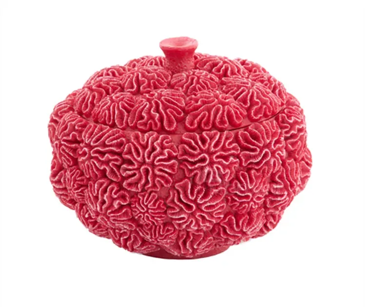 Розовый пластиковый сундук Тбилиси - изображение 1