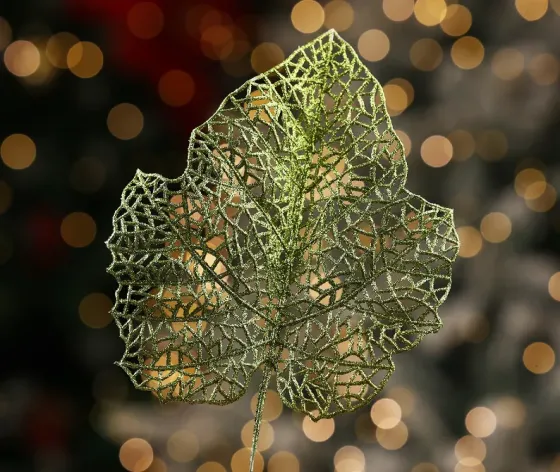 Christmas tree coniferous flower 11 Tbilisi