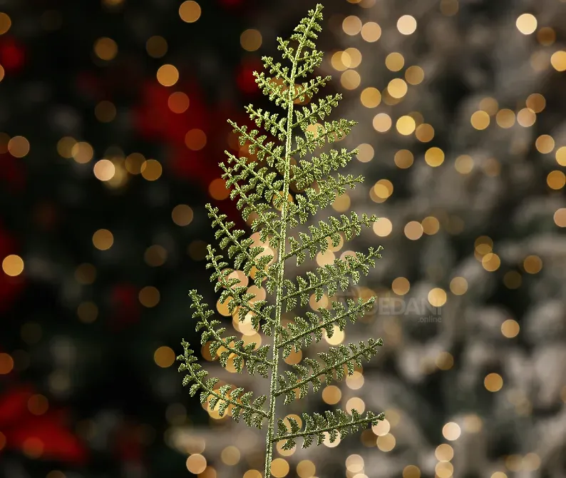 Christmas tree coniferous flower 11 Tbilisi - photo 3