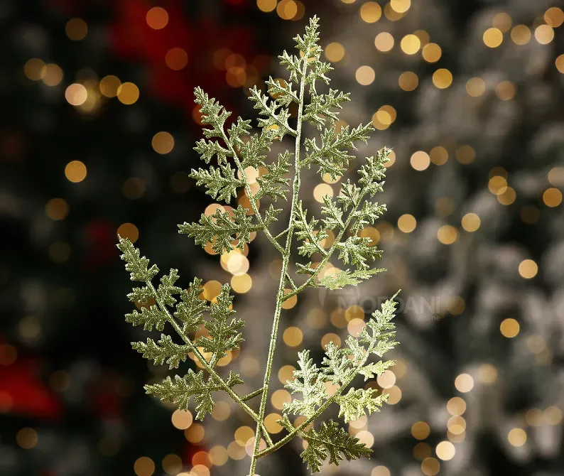 Christmas tree coniferous flower 11 Tbilisi - photo 4