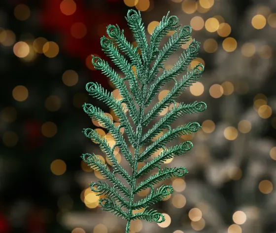 Christmas tree coniferous flower 10 Tbilisi