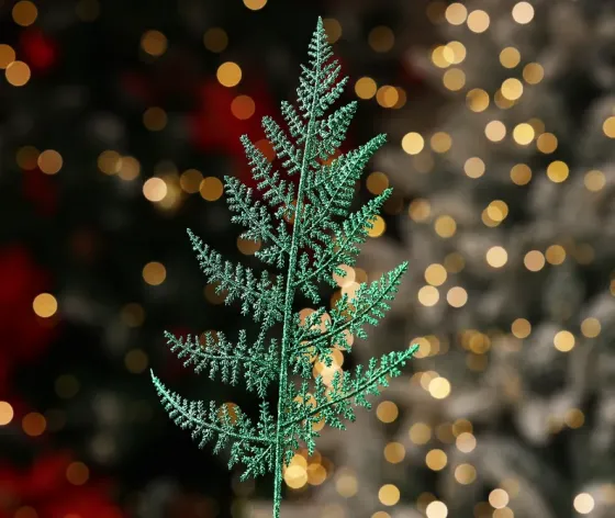 Christmas tree coniferous flower 10 Tbilisi