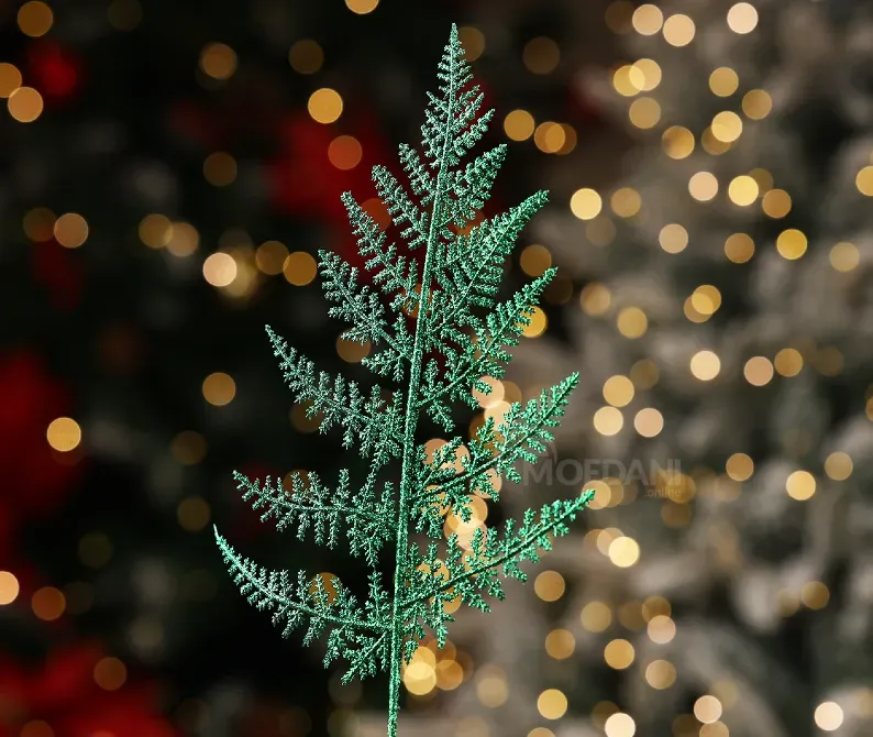 Christmas tree coniferous flower 10 Tbilisi - photo 3