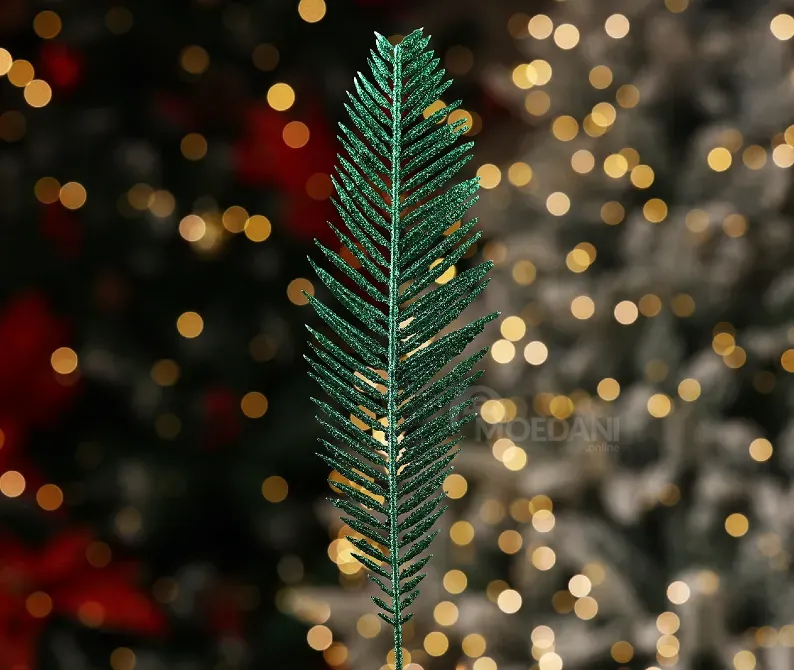 Christmas tree coniferous flower 10 Tbilisi - photo 4