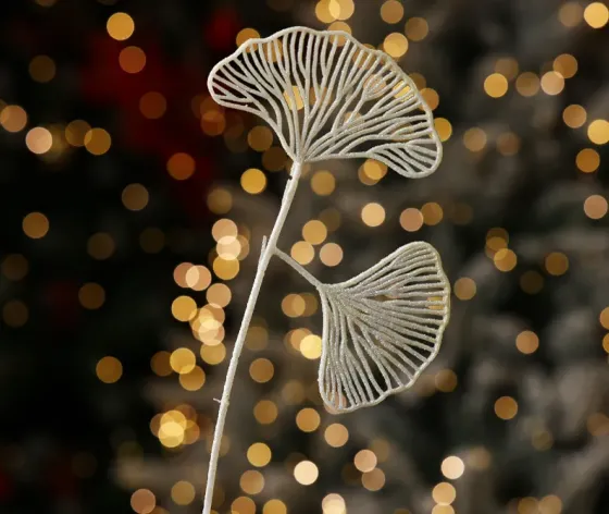 Christmas tree coniferous flower 9 Tbilisi