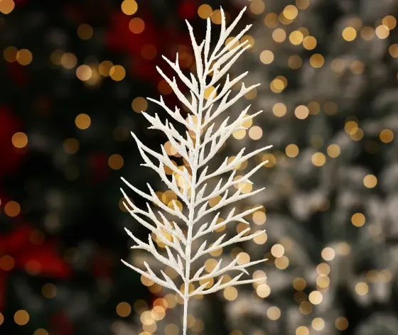 Christmas tree coniferous flower 9 Tbilisi