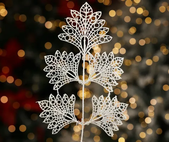 Christmas tree coniferous flower 9 Tbilisi