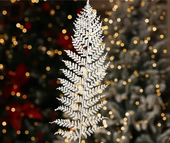 Christmas tree coniferous flower 9 Tbilisi