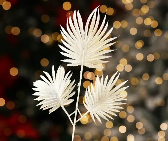 Christmas tree coniferous flower 9 Tbilisi