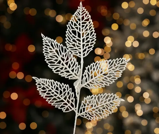 Christmas tree coniferous flower 9 Tbilisi