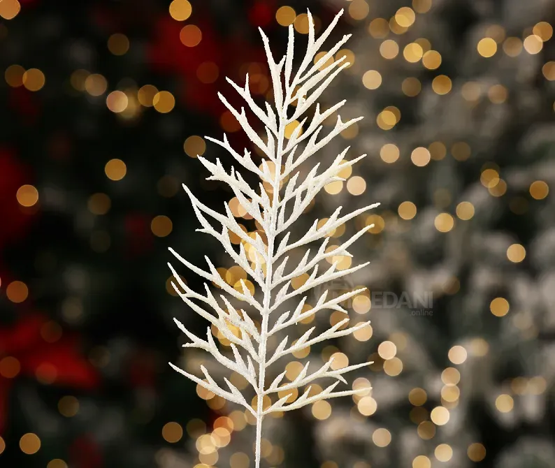 Christmas tree coniferous flower 9 Tbilisi - photo 2