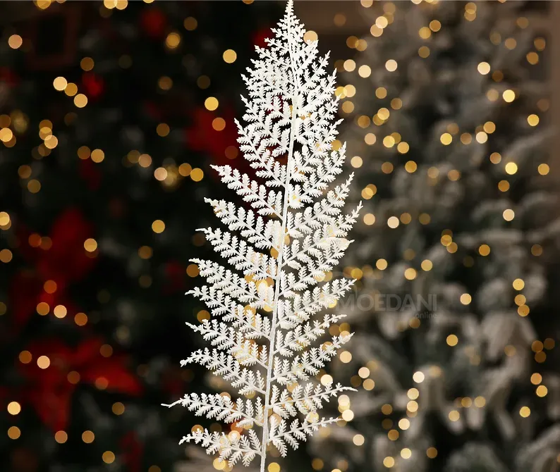 Christmas tree coniferous flower 9 Tbilisi - photo 4