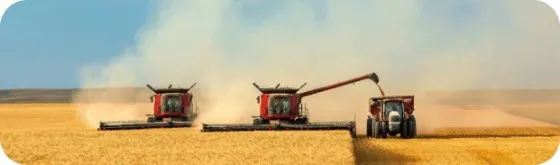 მზესუმზირის და სოიოს ზეთის საბითუმო ვაჭრობა - TM Zolotaya Semechka თბილისი