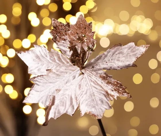 Christmas tree flower pink Tbilisi
