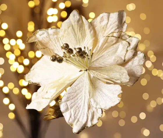 Christmas tree flower cream Tbilisi