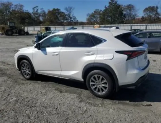Lexus NX 2021 თბილისი
