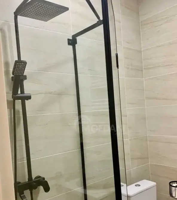 Apartments For Rent two-room 50м² 11/15 floor Tbilisi - photo 9